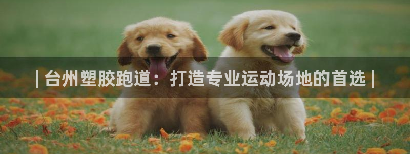 尊龙凯时国际：| 台州塑胶跑道：打造专业运动场地的首