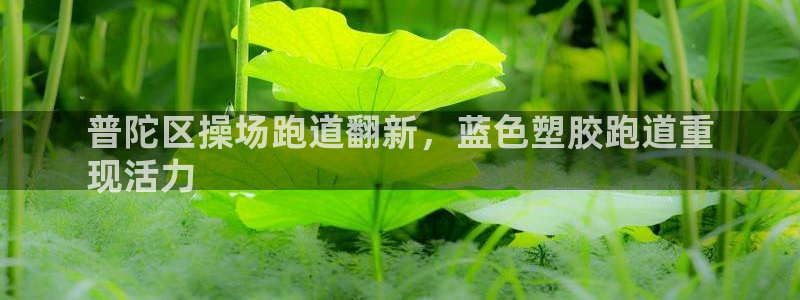 尊龙凯时提不了款：普陀区操场跑道翻新，蓝色塑胶跑道重
现活力