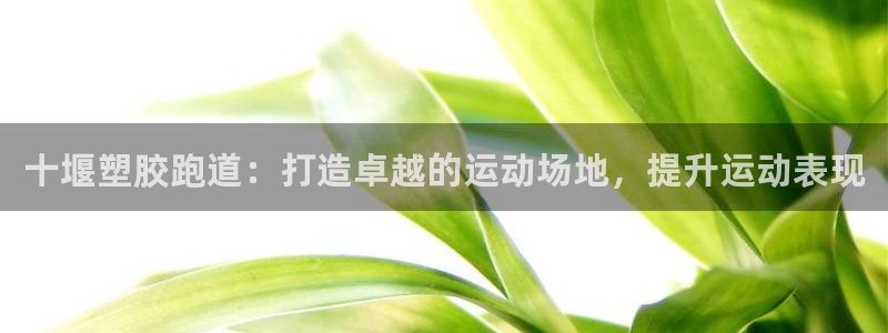 尊龙官网APP下载：十堰塑胶跑道：打造卓越的运动场地