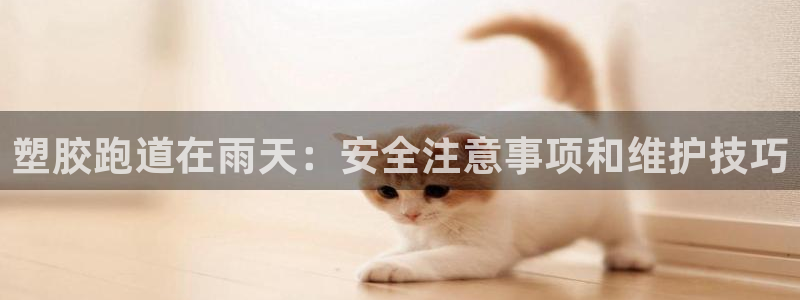 z6com尊龙凯时代理：塑胶跑道在雨天：安全注意事项和维护技巧