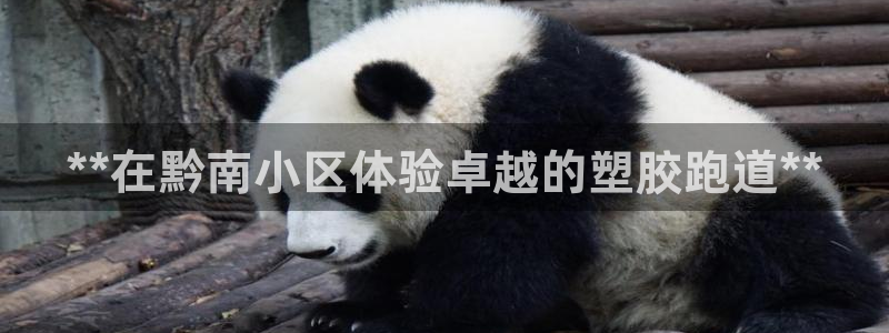 尊龙凯时人生就是博·(中国)官网官：**在黔南小区体验卓越的塑胶跑道**