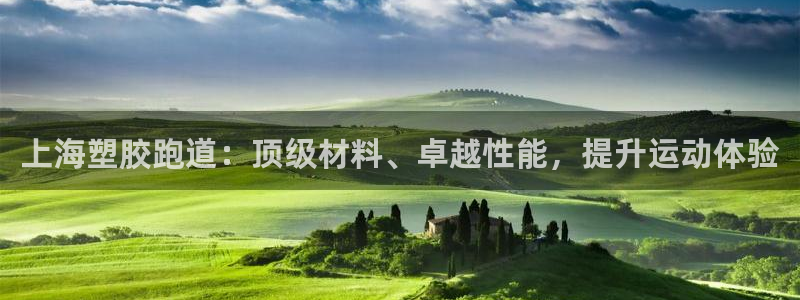 尊龙凯时官方网站下载：上海塑胶跑道：顶级材料、卓越性