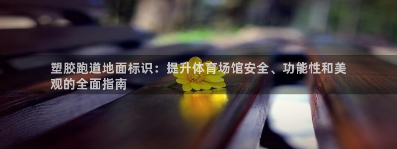 凯时kb88公司简介：塑胶跑道地面标识：提升体育场馆