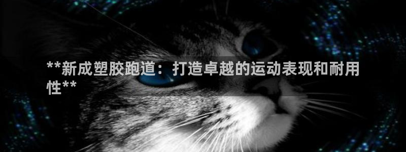 尊龙网页：**新成塑胶跑道：打造卓越的运动表现和耐用