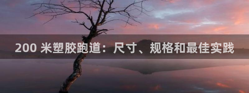 尊龙凯时泰安：200 米塑胶跑道：尺寸、规格和最佳实践