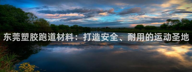 尊龙凯时人生就博官网登录：东莞塑胶跑道材料：打造安全