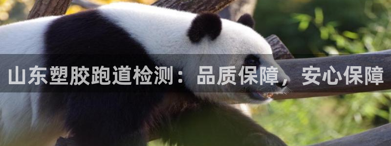 尊龙网页：山东塑胶跑道检测：品质保障，安心保障