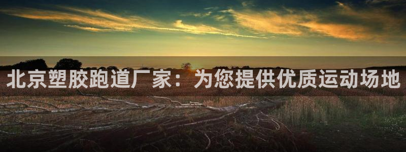 尊龙新版app：北京塑胶跑道厂家：为您提供优质运动场