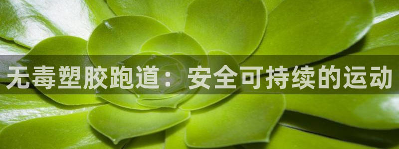 尊龙凯时赢不了：无毒塑胶跑道：安全可持续的运动
