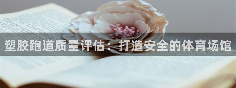 尊龙物流怎么样：塑胶跑道质量评估：打造安全的体育场馆