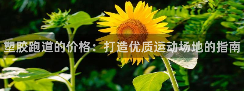 尊龙官方平台是正品吗：塑胶跑道的价格：打造优质运动场