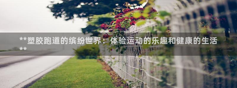 尊龙Ag：**塑胶跑道的缤纷世界：体验运动的乐趣和健康的生活
**