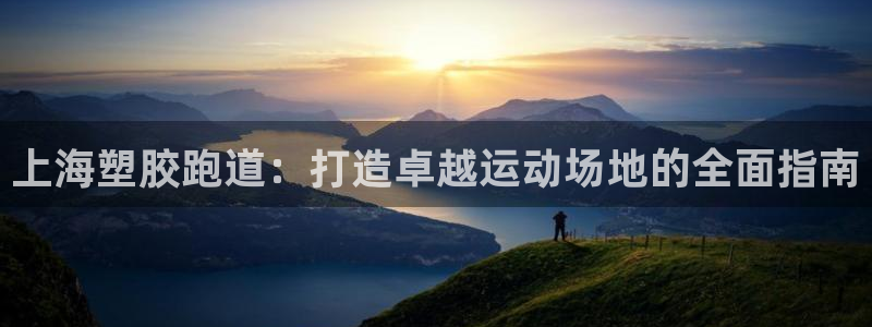 尊龙凯时 - 人生就是搏有假吗：上海塑胶跑道：打造卓越运动场