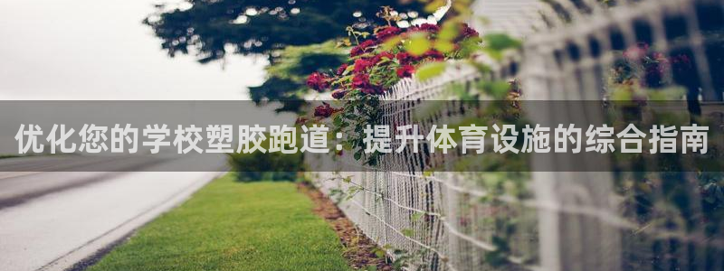 尊龙凯时是正规平台吗：优化您的学校塑胶跑道：提升体育