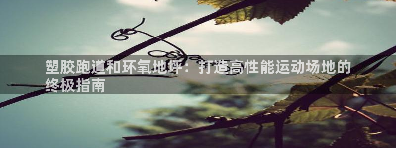 尊龙人生就是博下载：塑胶跑道和环氧地坪：打造高性能运