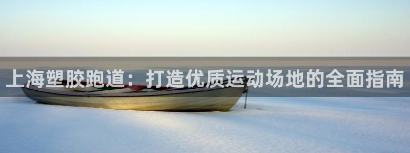 尊龙这个平台怎么样：上海塑胶跑道：打造优质运动场地的全面指南