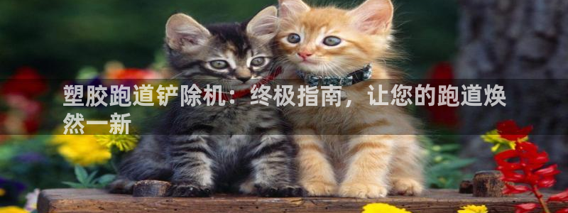 z6尊龙凯时集团：塑胶跑道铲除机：终极指南，让您的跑