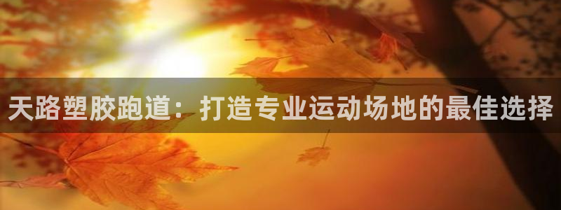 尊龙d88官网选RA来就送38：天路塑胶跑道：打造专业运动场