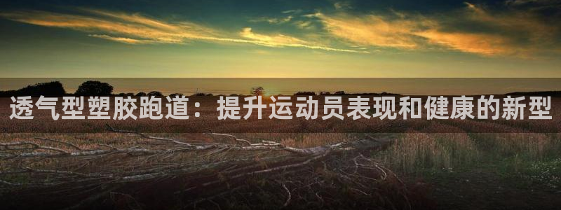 尊龙凯时充十万返现多少：透气型塑胶跑道：提升运动员表现和健康