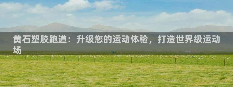 尊龙信息科技有限公司：黄石塑胶跑道：升级您的运动体验，打造世