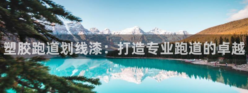 尊龙信息科技有限公司：塑胶跑道划线漆：打造专业跑道的卓越