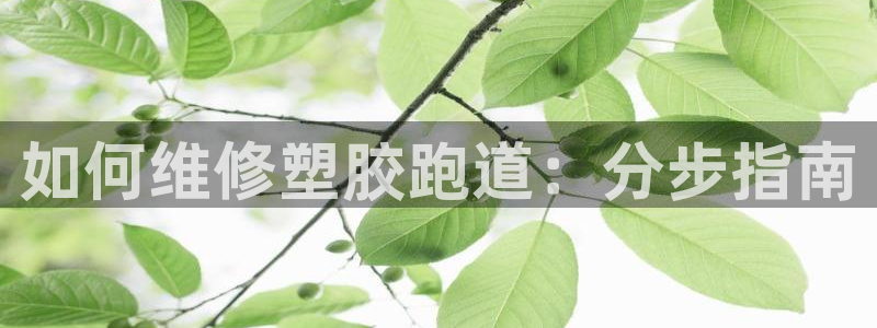尊龙凯时官网版登录：如何维修塑胶跑道：分步指南