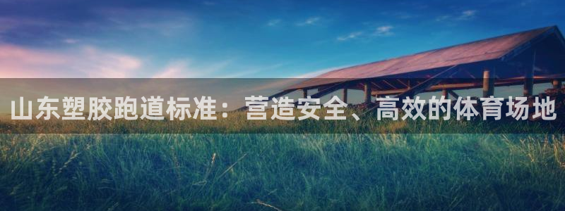 尊龙软件下载：山东塑胶跑道标准：营造安全、高效的体育场地