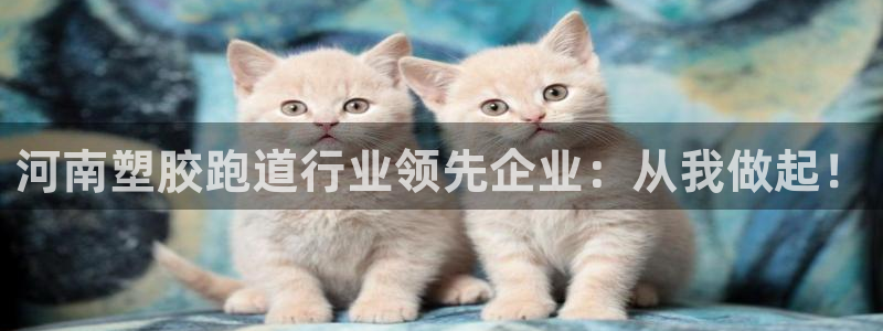 凯时尊龙app国际官方网站