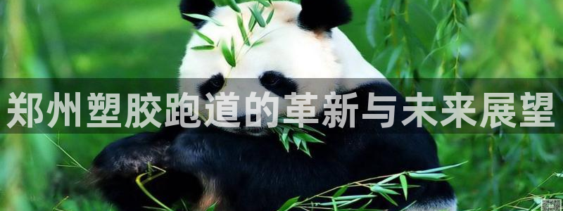尊龙人生就是博l