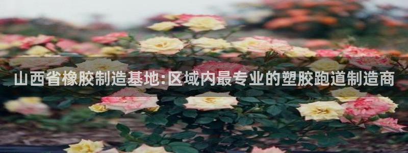 尊龙d88官网so问来就送38