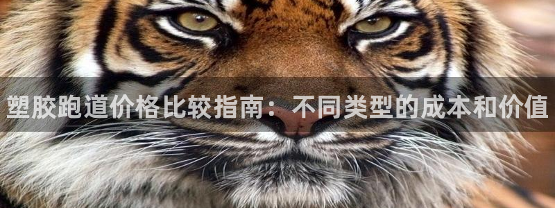 怎样能成为尊龙凯时平台的会员：塑胶跑道价格比较指南：