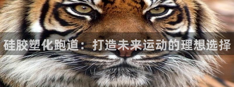 尊龙中国