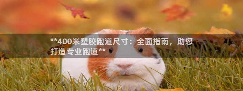 尊龙凯时人生就是博·(中国)官网官：**400米塑胶