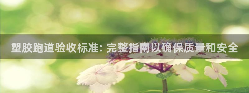 尊龙app注册官网：塑胶跑道验收标准: 完整指南以确保质量和