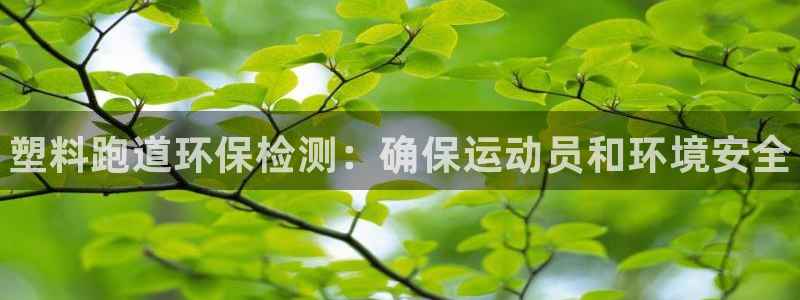 z6com尊龙凯时百家乐下载：塑料跑道环保检测：确保