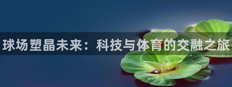 凯时a88