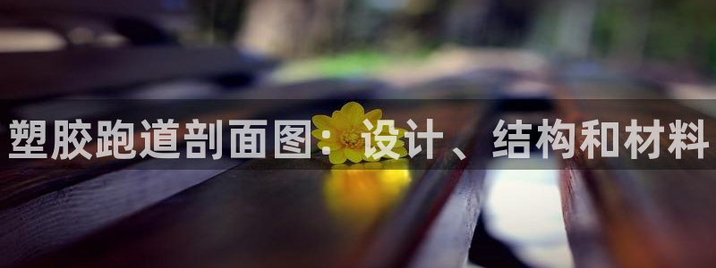 d88尊龙z6：塑胶跑道剖面图：设计、结构和材料
