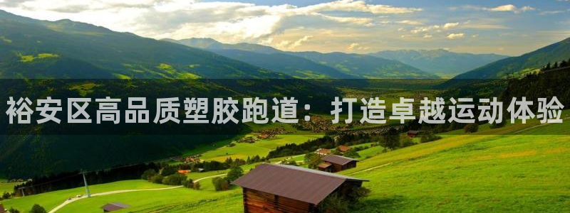 尊龙人品怎么样：裕安区高品质塑胶跑道：打造卓越运动体验