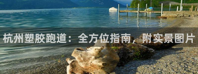 尊龙凯时台子：杭州塑胶跑道：全方位指南，附实景图片