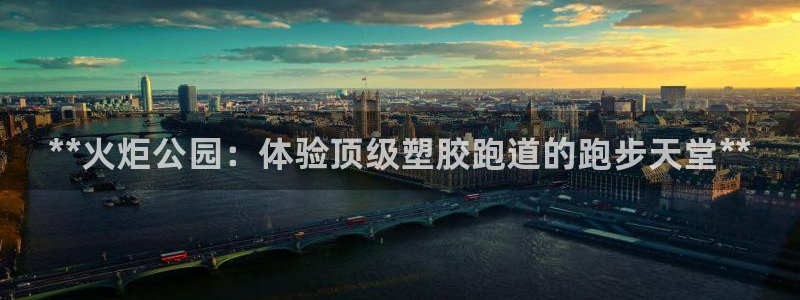 尊龙登录地址：**火炬公园：体验顶级塑胶跑道的跑步天堂**