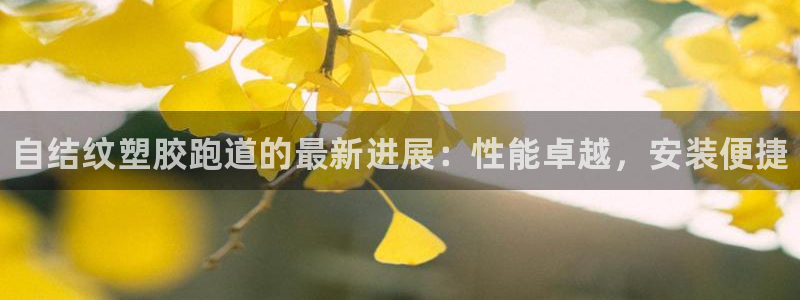 尊龙怎么没消息了：自结纹塑胶跑道的最新进展：性能卓越，安装便