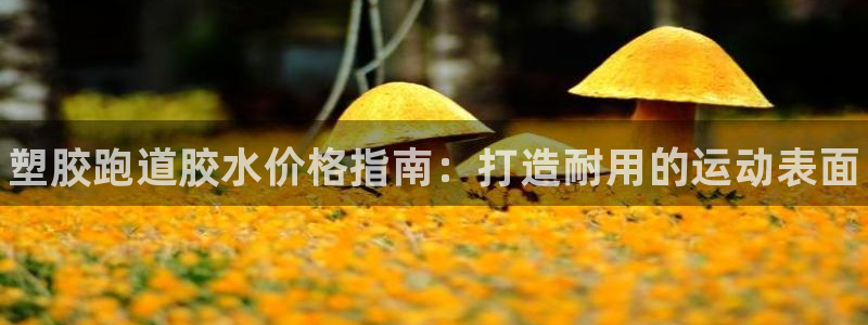 尊龙app官网登录：塑胶跑道胶水价格指南：打造耐用的