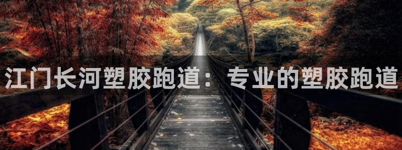 尊龙集团有限公司是国企吗：江门长河塑胶跑道：专业的塑胶跑道