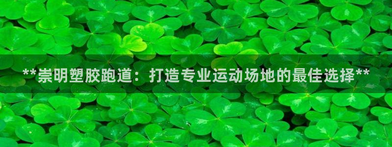 z6尊龙凯时旗：**崇明塑胶跑道：打造专业运动场地的