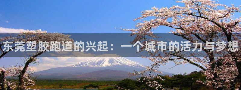 尊龙凯时城娱乐