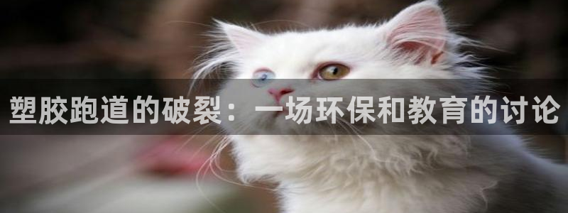 尊龙登录会员登录