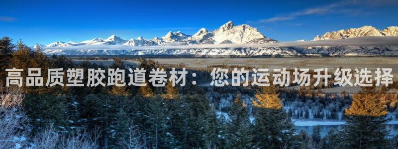 尊龙旗舰店：高品质塑胶跑道卷材：您的运动场升级选择