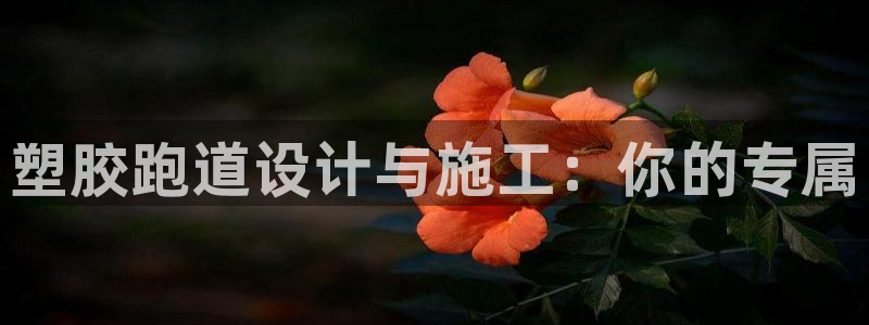 尊龙-人生就是博!