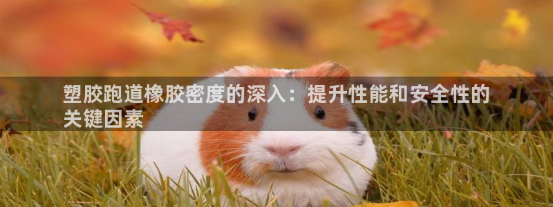 凯时k66官方发布：塑胶跑道橡胶密度的深入：提升性能