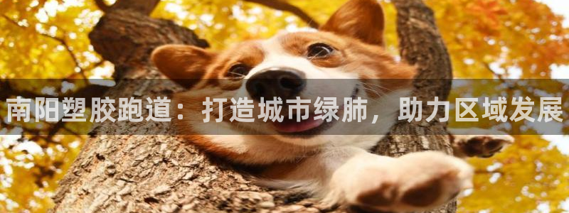 尊龙凯时人生就博官网